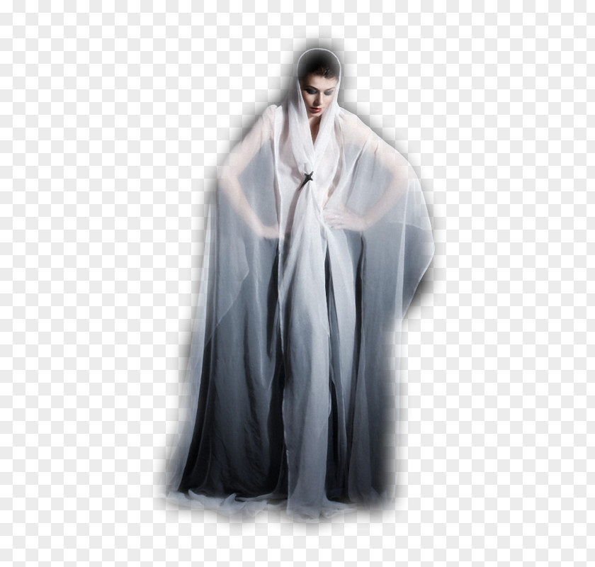Woman Directupload Evening Gown PNG
