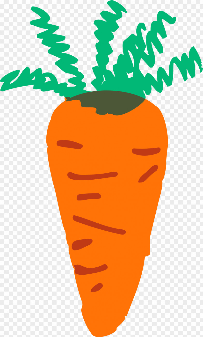 Carrot Clip Art PNG