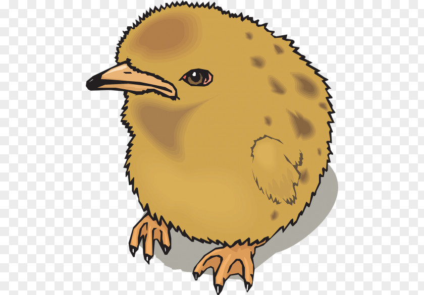 Cartoon Bird Beak Clip Art PNG