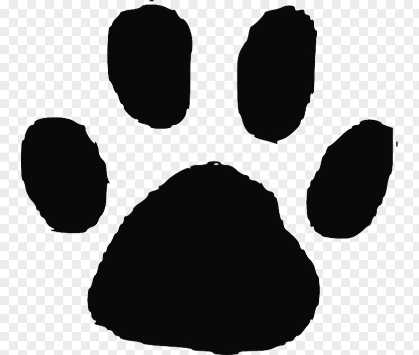 Cat Dog Felidae Paw Animal Track PNG