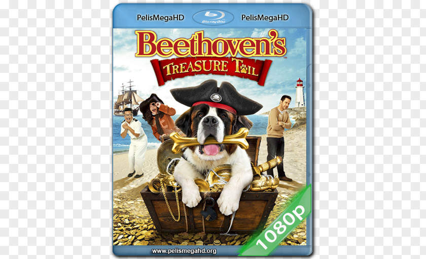 Dvd Blu-ray Disc Beethoven Digital Copy DVD 1080p PNG