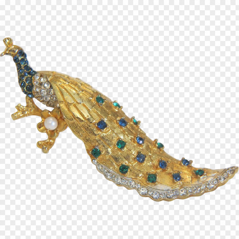 Peacock Reptile Jewellery PNG