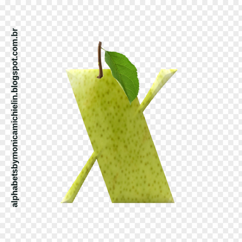 Pears Fruit PNG