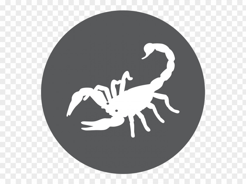 Scorpions Scorpion Astrological Sign Horoscope Zodiac PNG