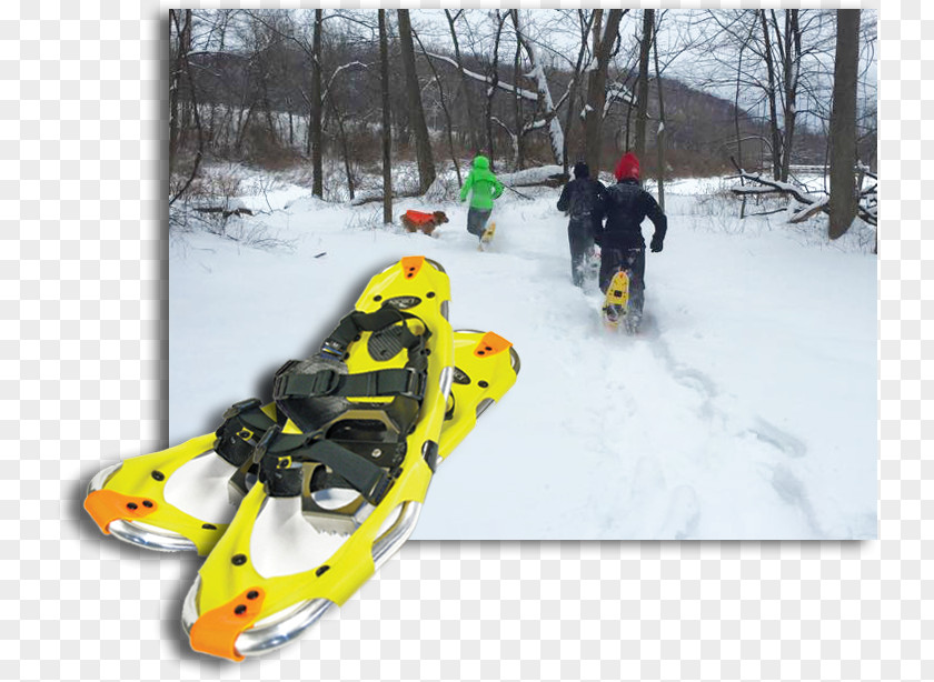 Snow Ski Bindings Snowshoe Winter Sport Vehicle PNG