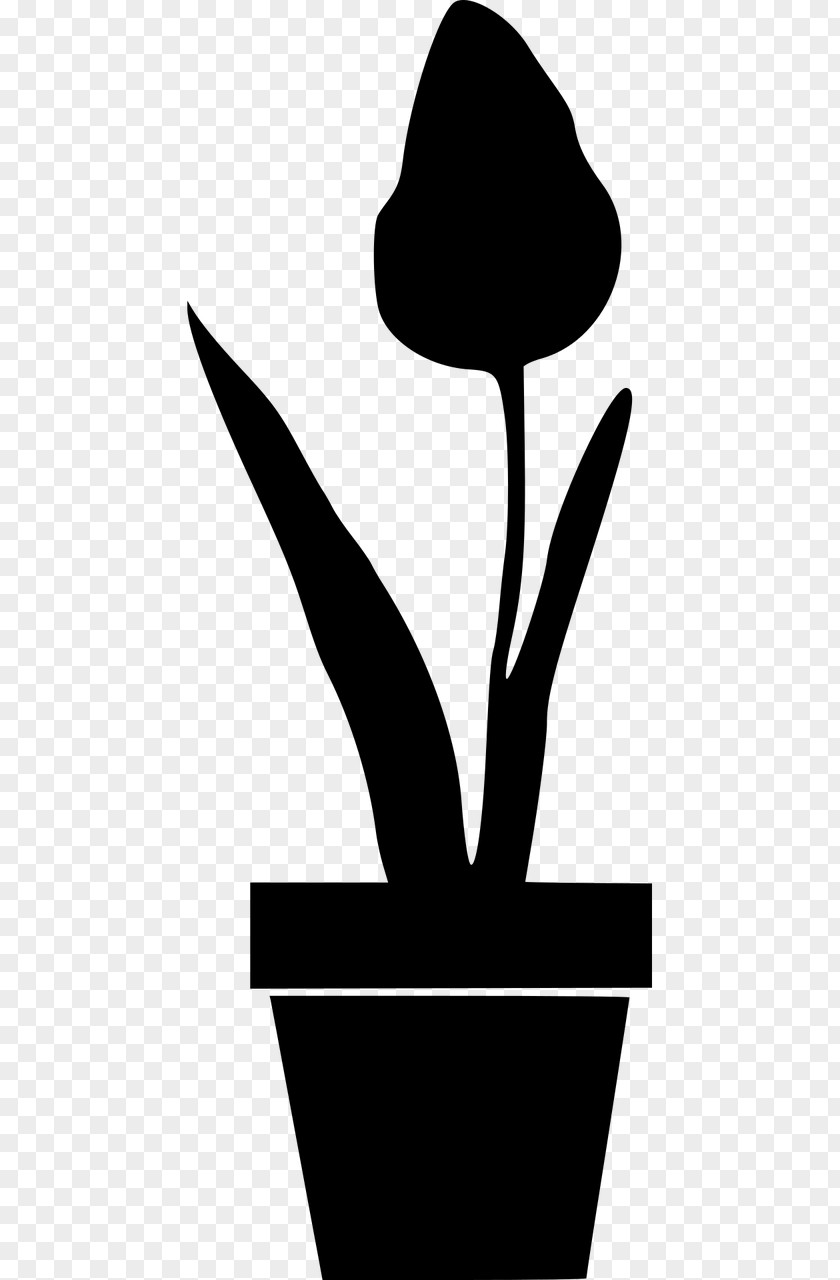 Flower Flowerpot Silhouette Clip Art PNG