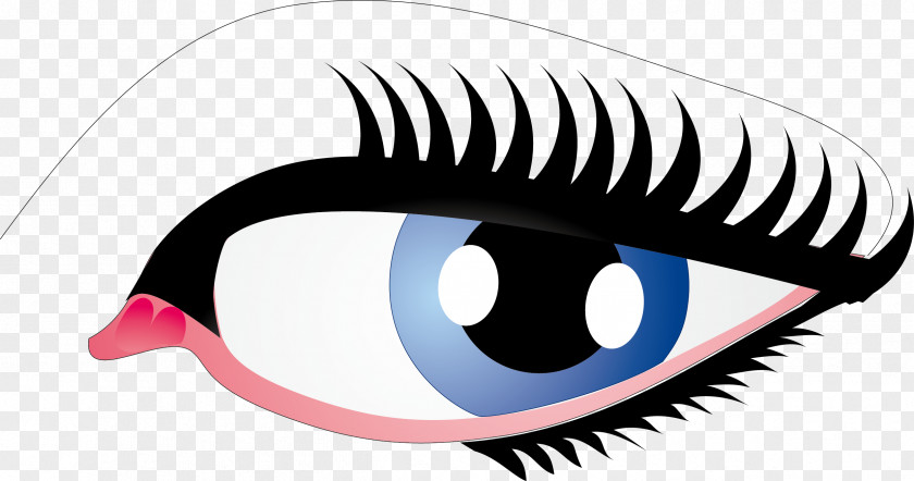 Long Eyelashes Eye Vector Clip Art PNG