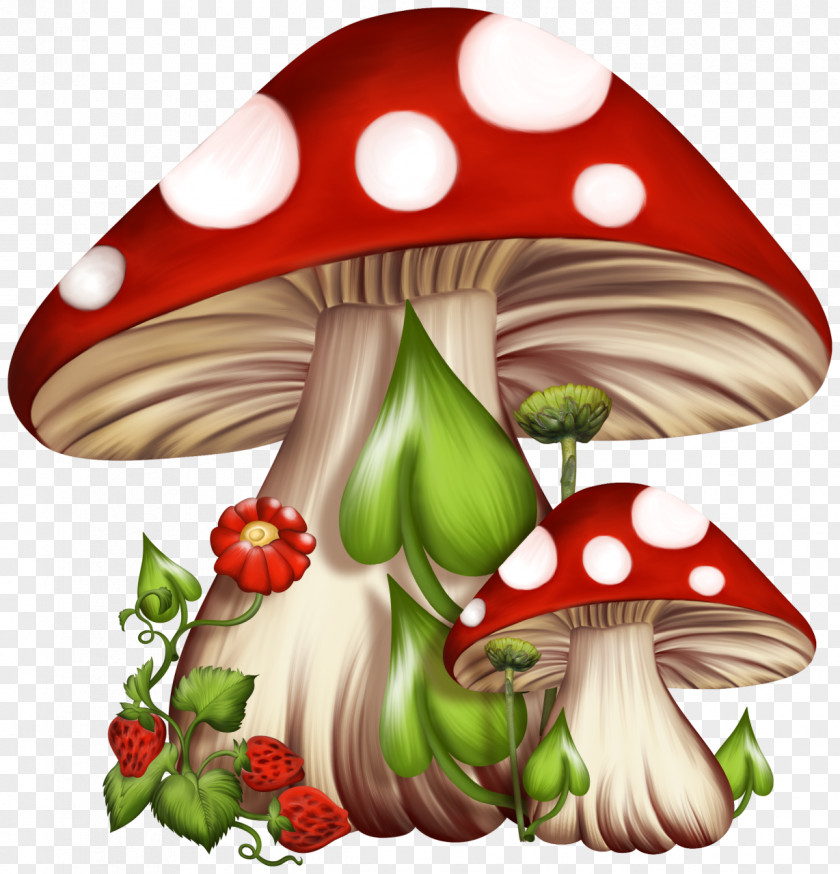 Mushroom Psilocybin Fungus Clip Art PNG