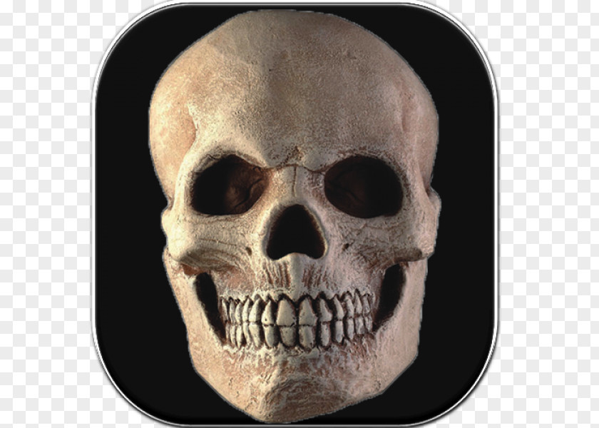 Skull Symbol RocketDock PNG