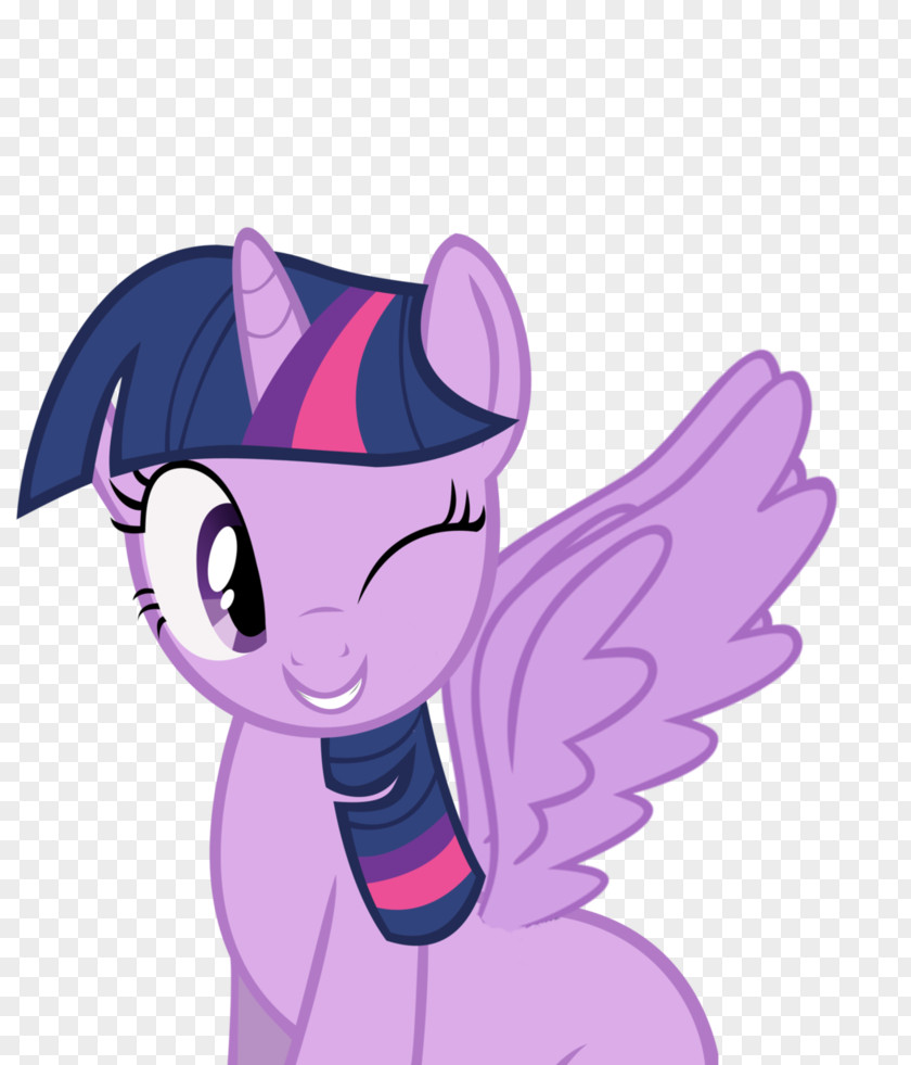 Twilight Sparkle Pony Princess Cadance Rarity Celestia PNG