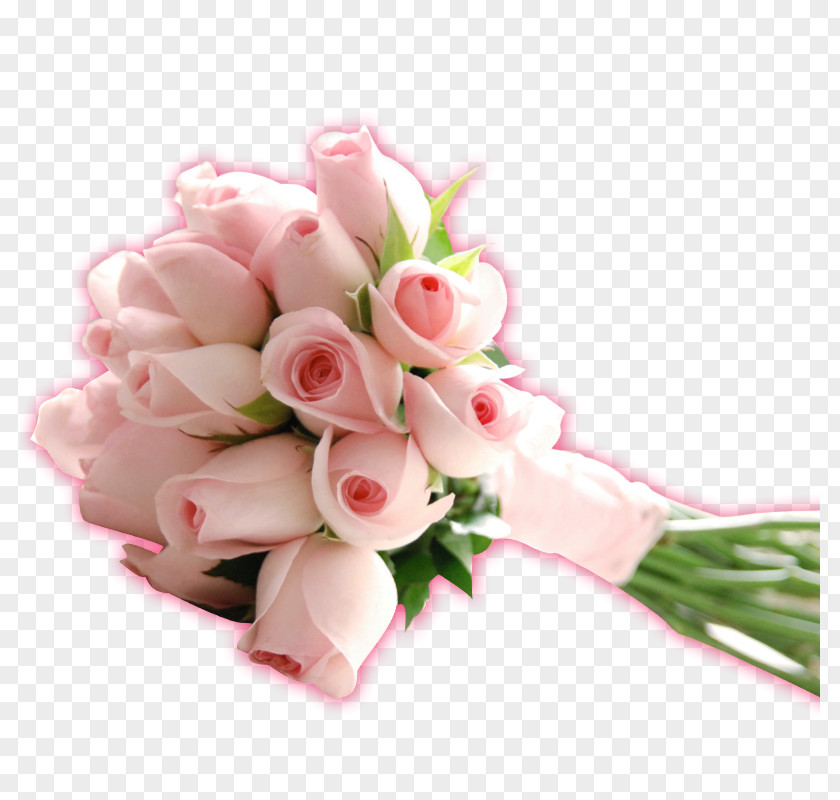 White Rose Qixi Festival Valentines Day PNG