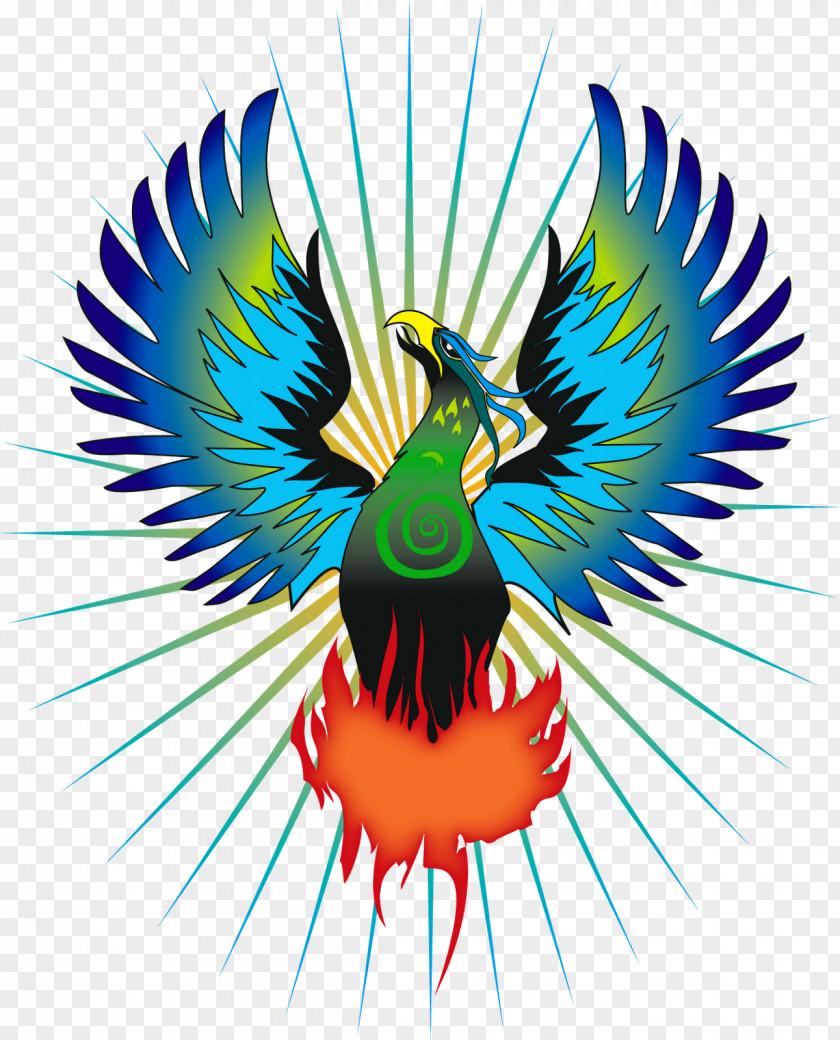 Birds Phoenix Ibong Adarna Firebird Simurgh PNG