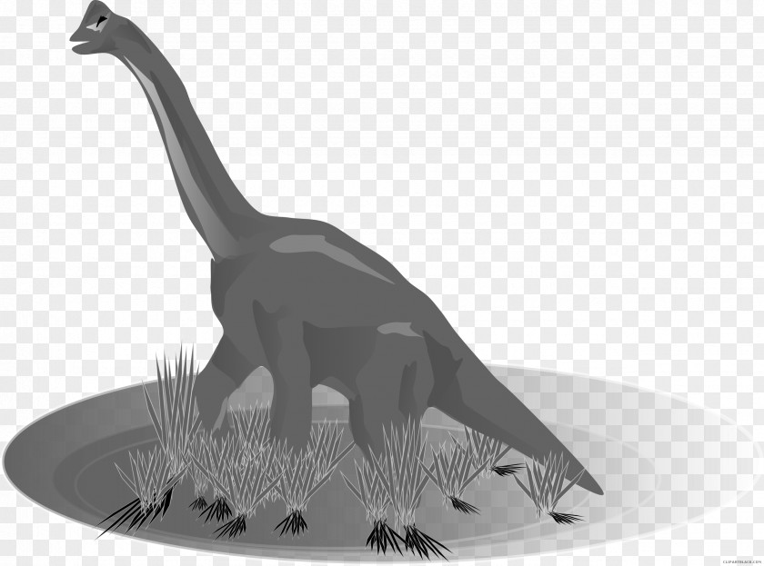 Dinosaur Apatosaurus Tyrannosaurus Stegosaurus Triceratops Clip Art PNG