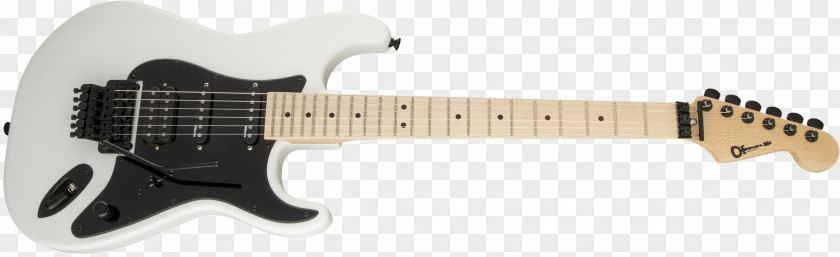 Electric Guitar San Dimas Charvel Fender Stratocaster PNG