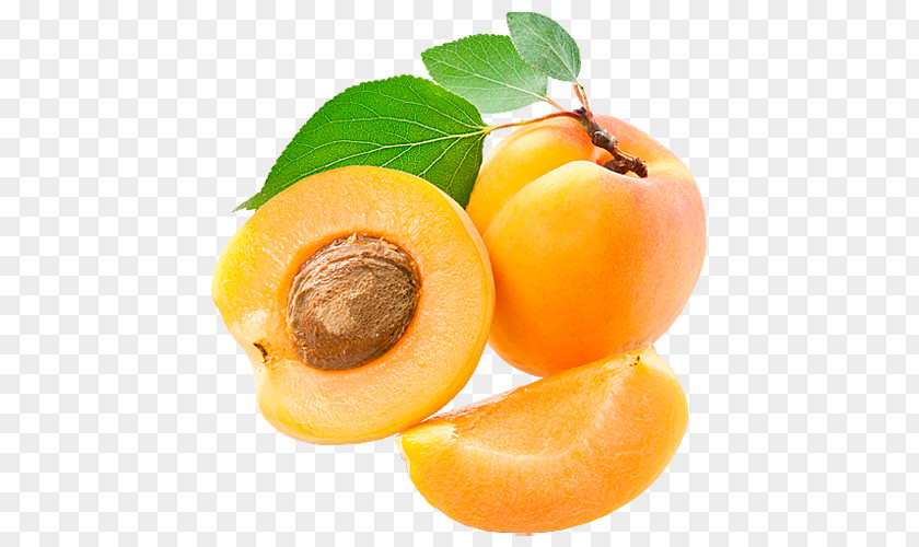 Apricot Vitamin Pangamic Acid Food Mineral Dietary Fiber PNG