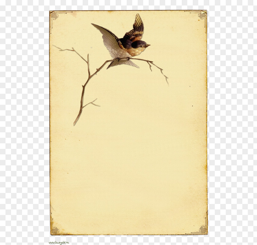 Bird Paper In The Tree Vintage Clothing PNG