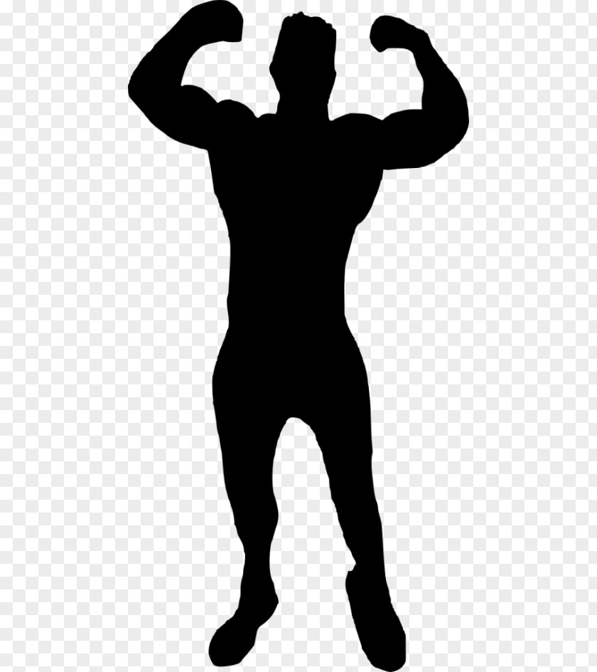 Bodybuilding Muscle Clip Art PNG