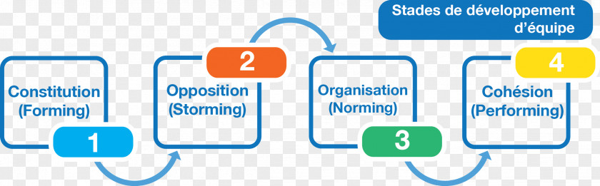 Business Tuckman's Stages Of Group Development Team Organization PNG
