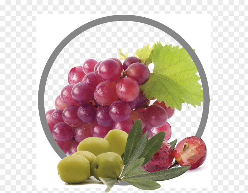 Grape Wine Crisp Food Seedless Fruit PNG