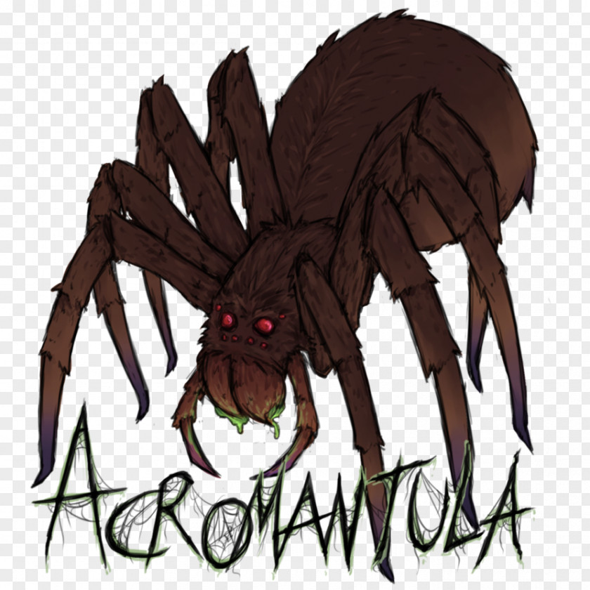 Harry Potter Dibujo Widow Spiders Drawing Artist Acromantula PNG