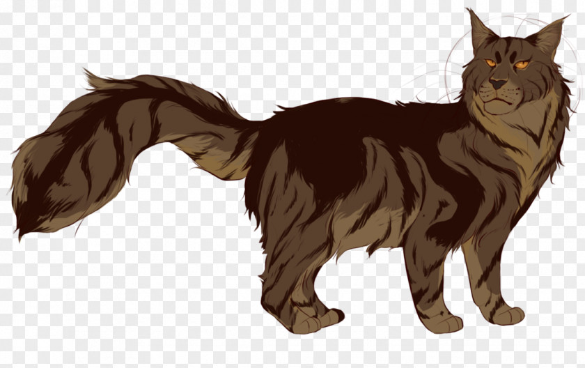 Kitten Maine Coon Whiskers Domestic Short-haired Cat Tabby PNG