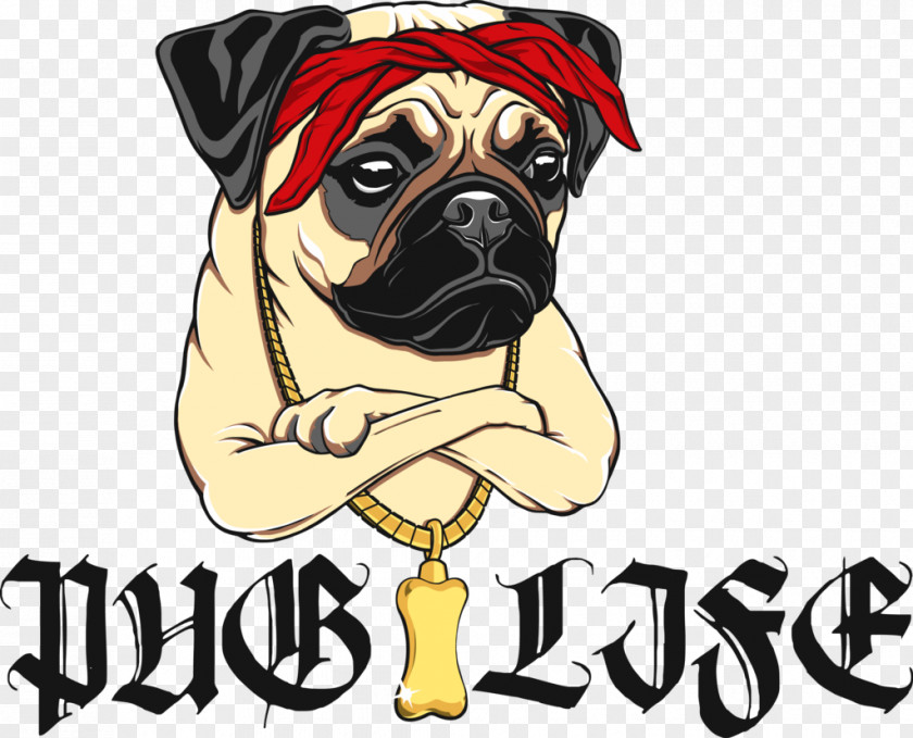 Live Life Pug Dog Breed Toy Puppy PNG