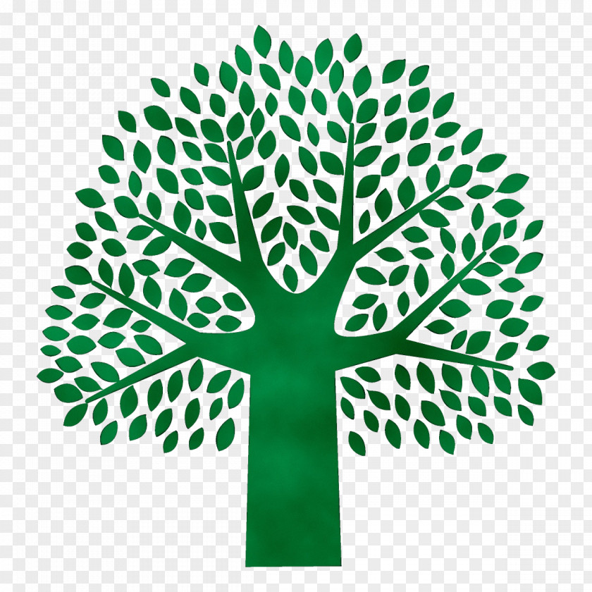 Logo Symbol Green Leaf Tree Plant PNG