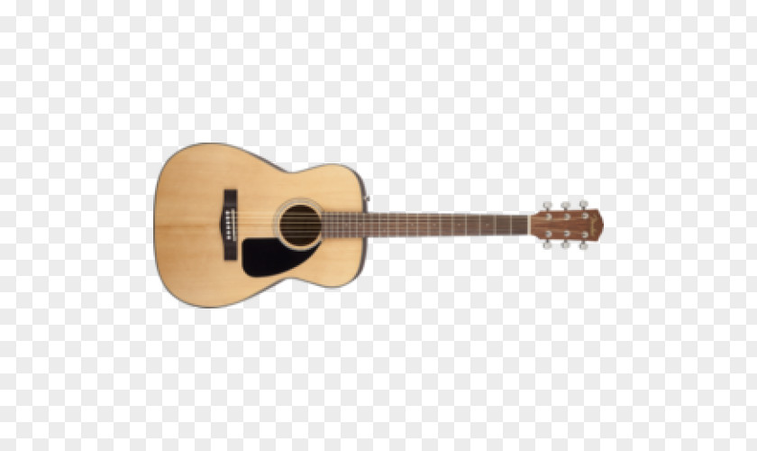 Acoustic Poster Fender Stratocaster Guitar Amplifier Steel-string PNG