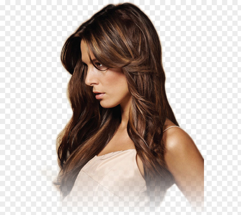 Beauty Salons Element Hair Coloring Step Cutting Bankard Layered PNG