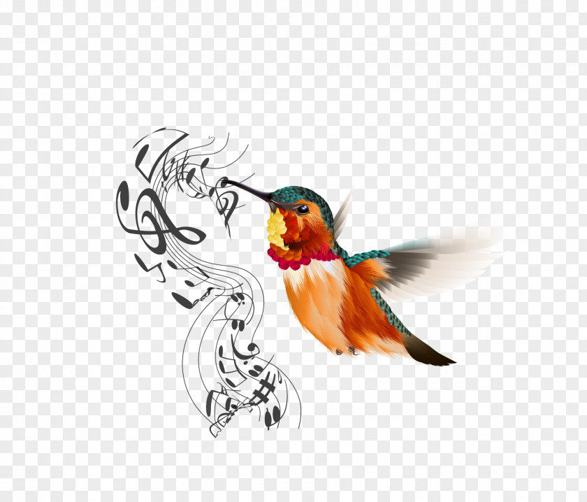 Bird Icon PNG