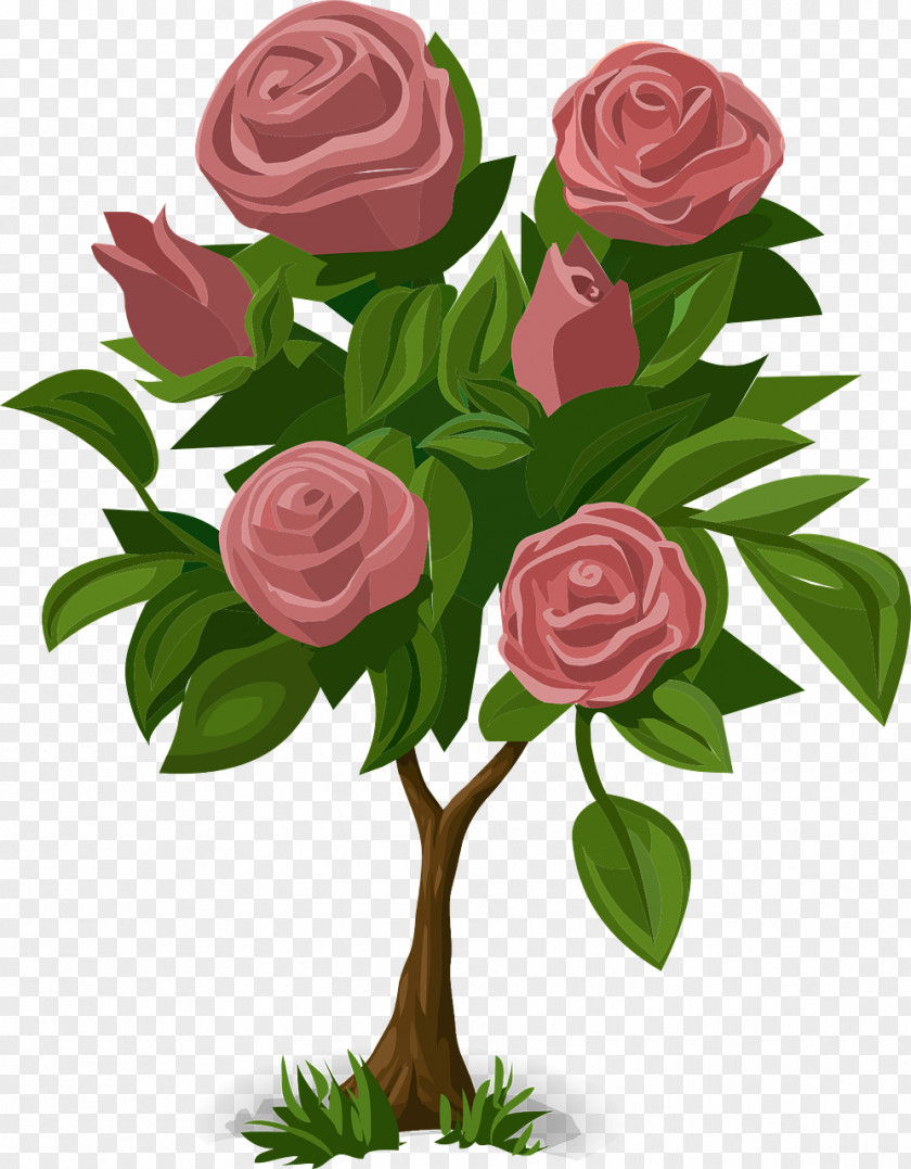 Bushes Flower Rose Plant Animation PNG