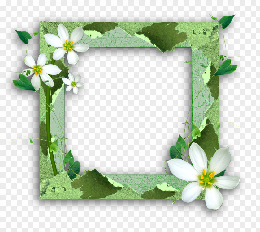 Green Frame Paper Picture Frames Scrapbooking PNG