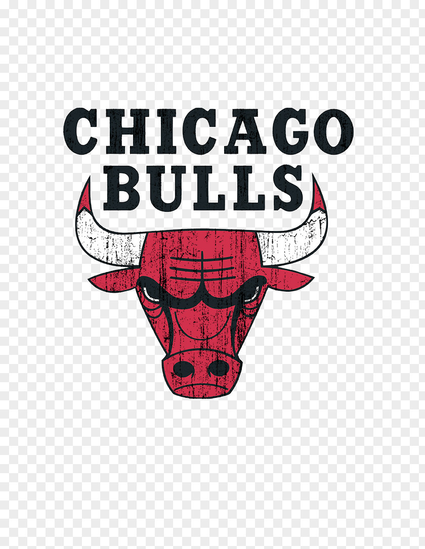 Michael Jordan Chicago Bulls NBA Summer League Portland Trail Blazers Memphis Grizzlies PNG