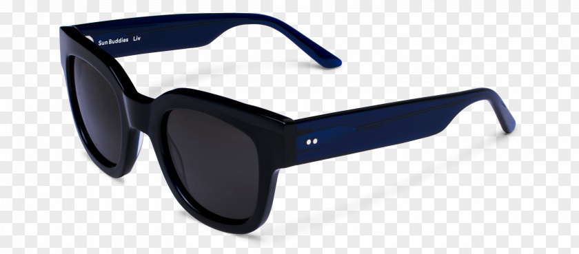 Sunglasses Goggles Eyewear Carl Zeiss AG PNG