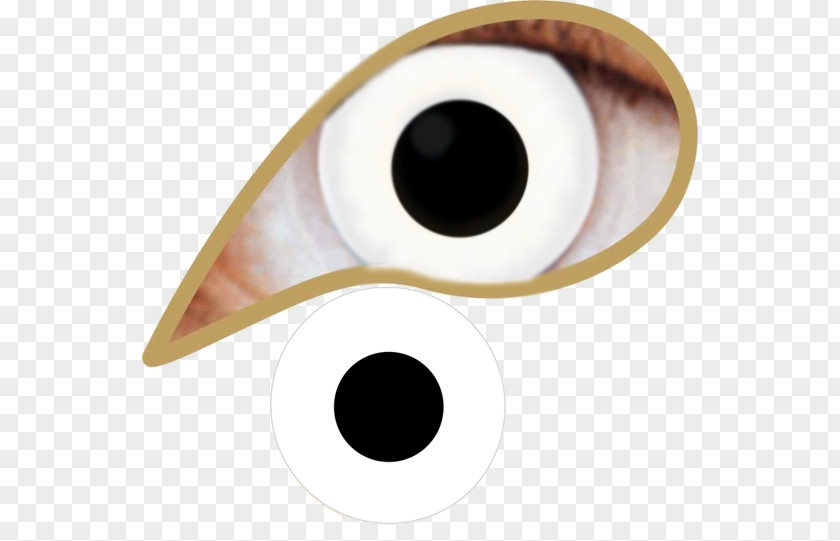 White Out Eye Sclera Tweedehands.nl Contact Lenses PNG