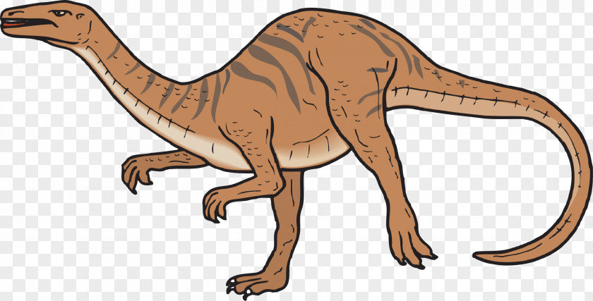 Brown Dinosaur Coelophysis Spinosaurus Coelurus Compsognathus Chirostenotes PNG