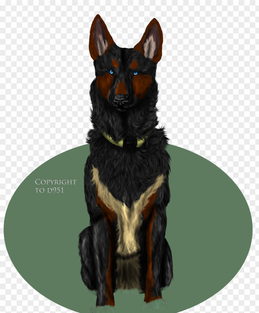 Canadian Kennel Club Ormskirk Terrier Australian Kelpie German Shepherd Cattle Dog Razas Nativas Vulnerables PNG