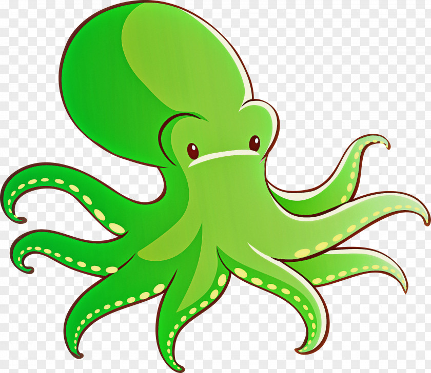 Green Octopus Giant Pacific PNG