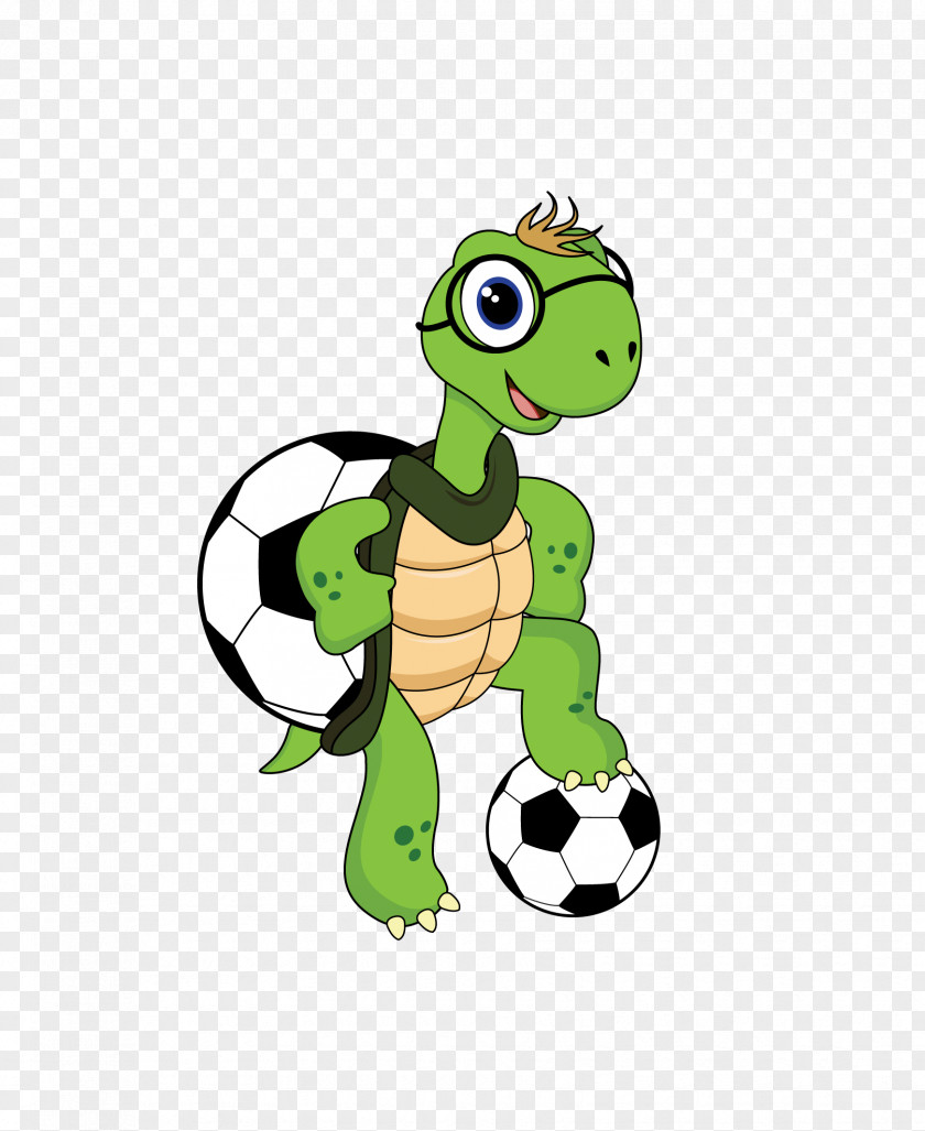 Toy Tortoise Turtle Cartoon PNG
