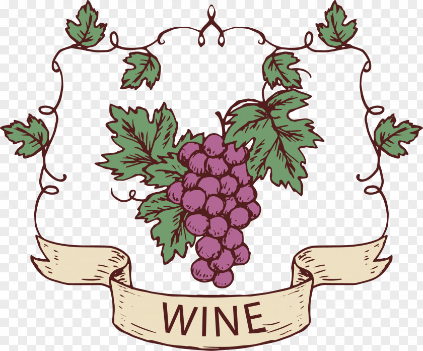 Vines Orchids Grape Wine Vector Graphics Design Clip Art PNG