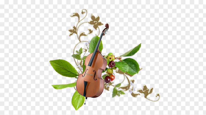 Violin Flower Musical Instruments PNG
