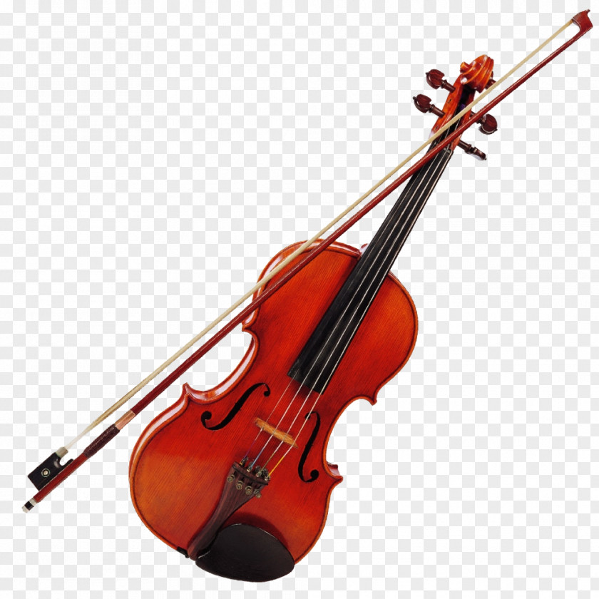 Violin Musical Instrument PNG