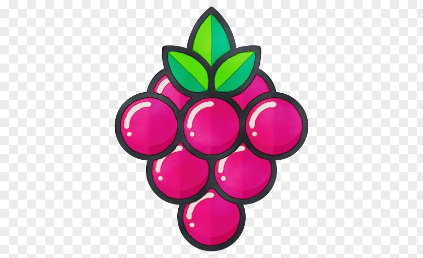 Vitis Plant Grape Fruit Pink Grapevine Family Magenta PNG