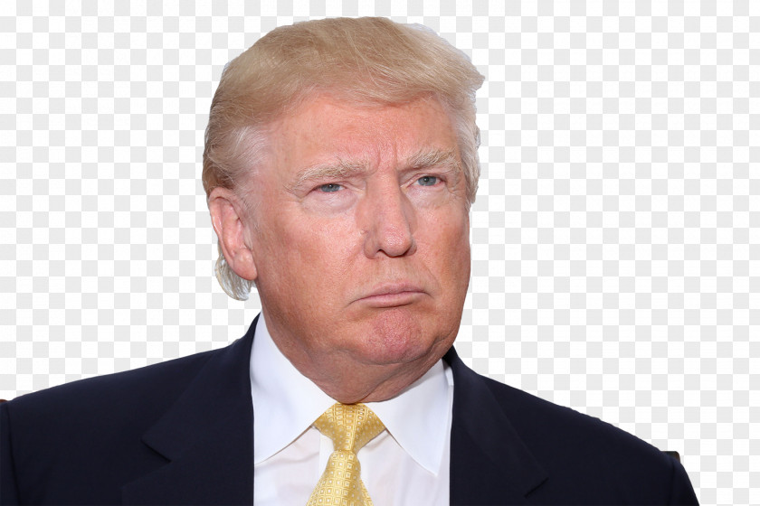 Donald Trump Professional Business Executive Entrepreneurship Chin PNG