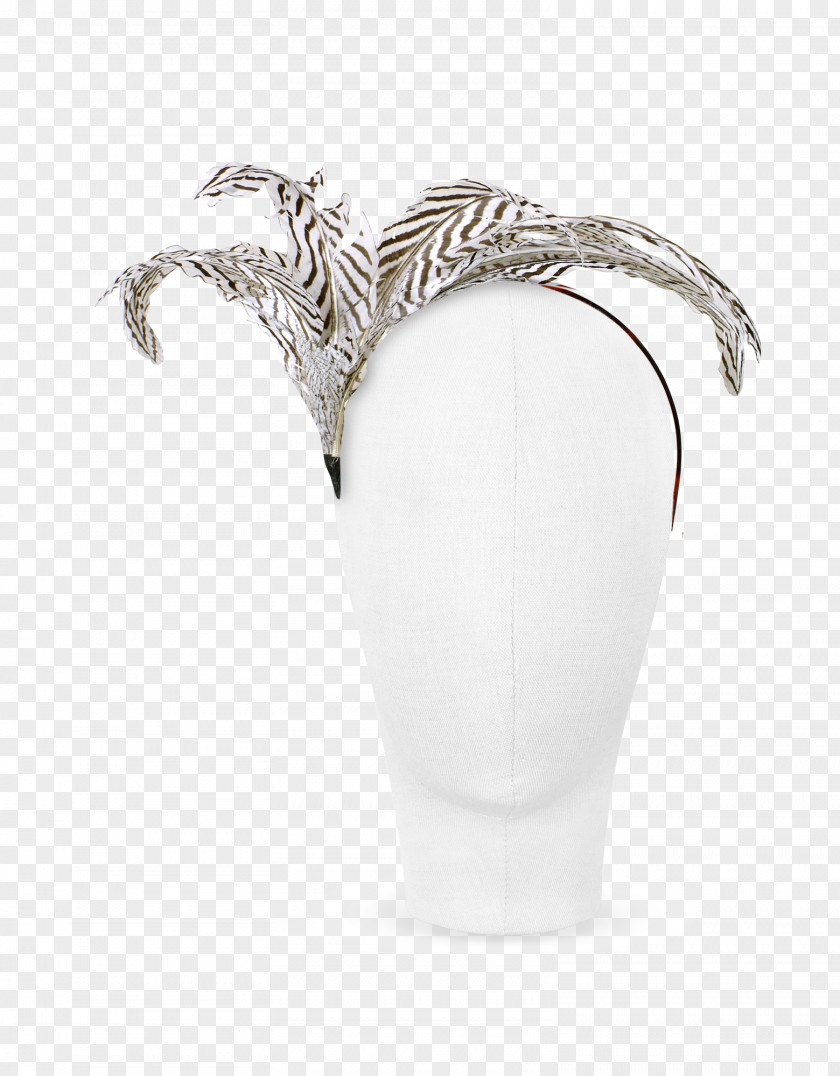 Feather Headdress Headband Headgear Hat Clothing PNG
