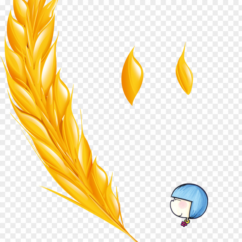 Golden Wheat Gold PNG