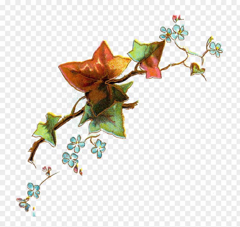 Graphic Art Flowers Flower Clip PNG