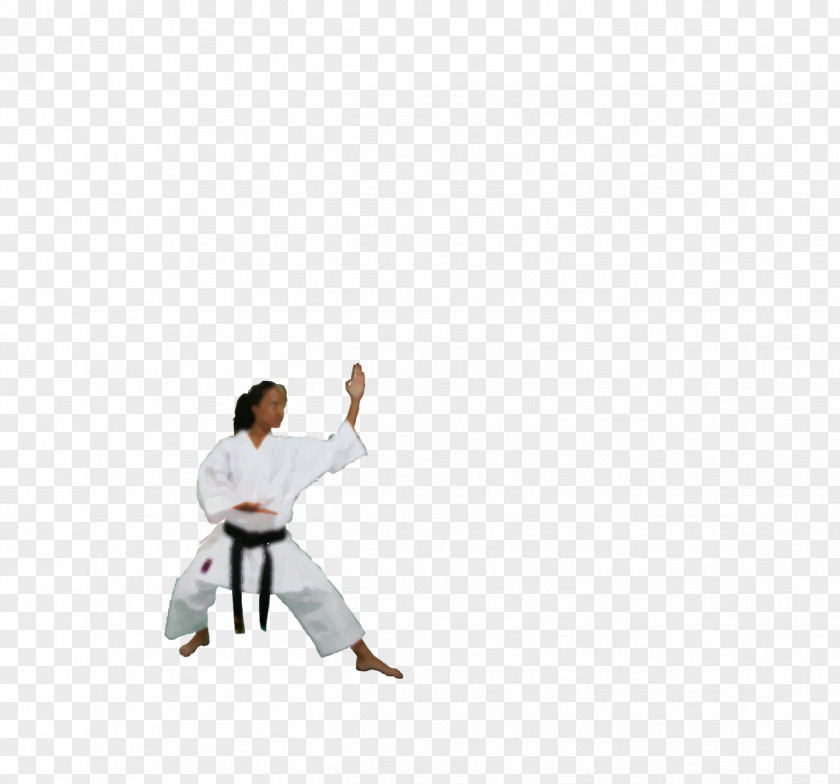 Karate Sports Association Dobok Art PNG