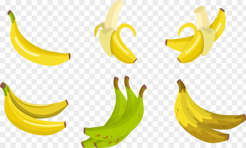 Painted Banana Painting PNG