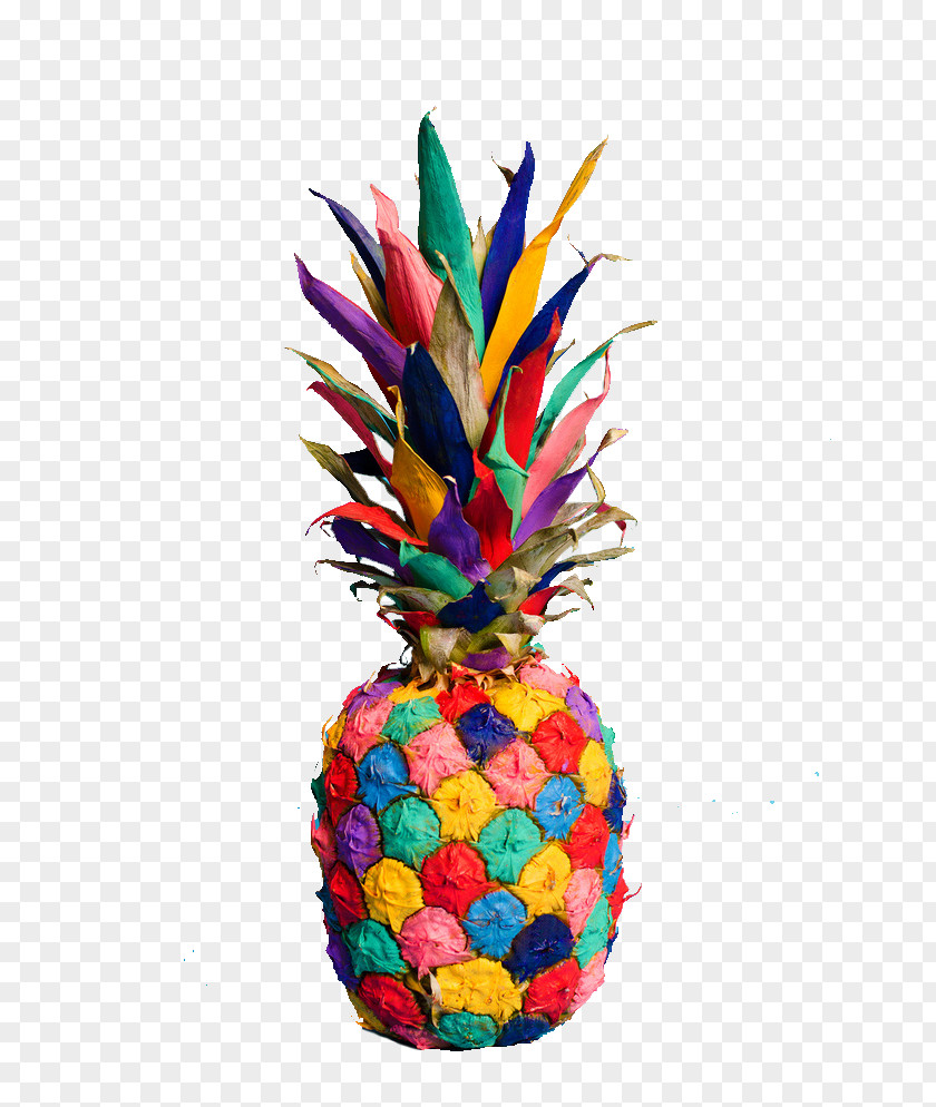 Pineapple Color PNG